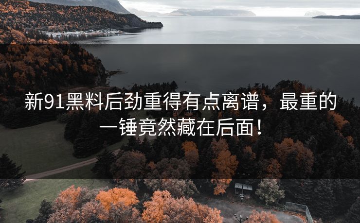 新91黑料后劲重得有点离谱，最重的一锤竟然藏在后面！
