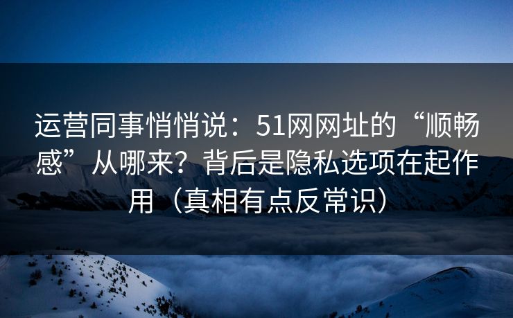 运营同事悄悄说：51网网址的“顺畅感”从哪来？背后是隐私选项在起作用（真相有点反常识）