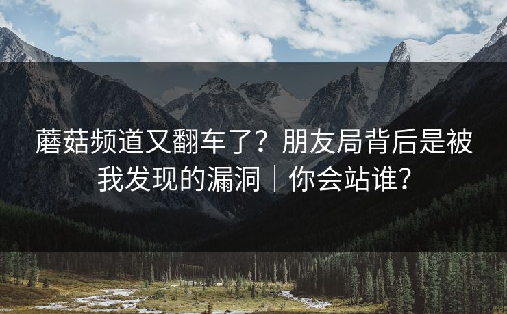 蘑菇频道又翻车了？朋友局背后是被我发现的漏洞｜你会站谁？