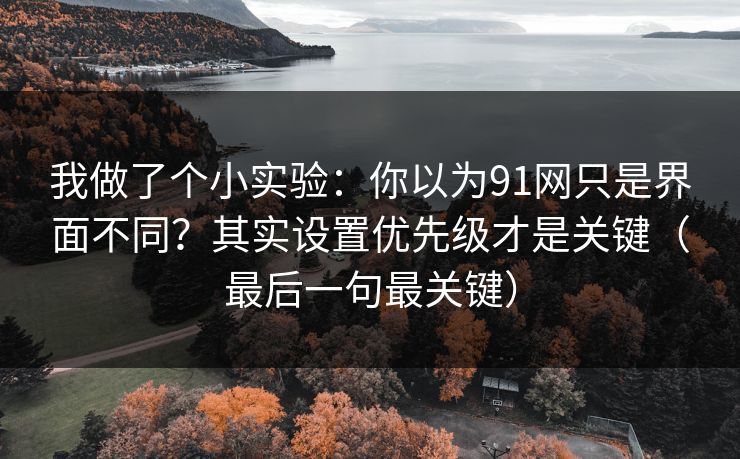 我做了个小实验：你以为91网只是界面不同？其实设置优先级才是关键（最后一句最关键）