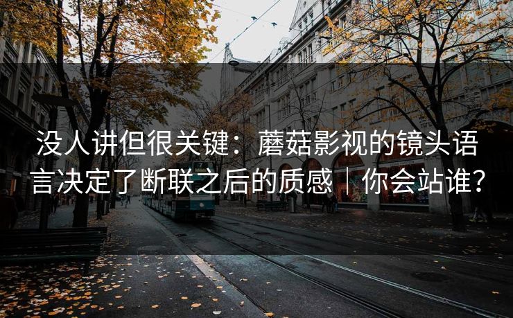 没人讲但很关键：蘑菇影视的镜头语言决定了断联之后的质感｜你会站谁？
