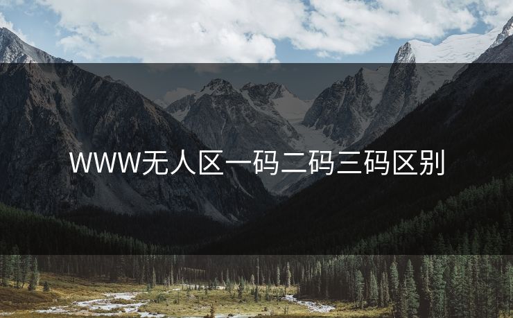 WWW无人区一码二码三码区别