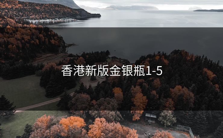 香港新版金银瓶1-5