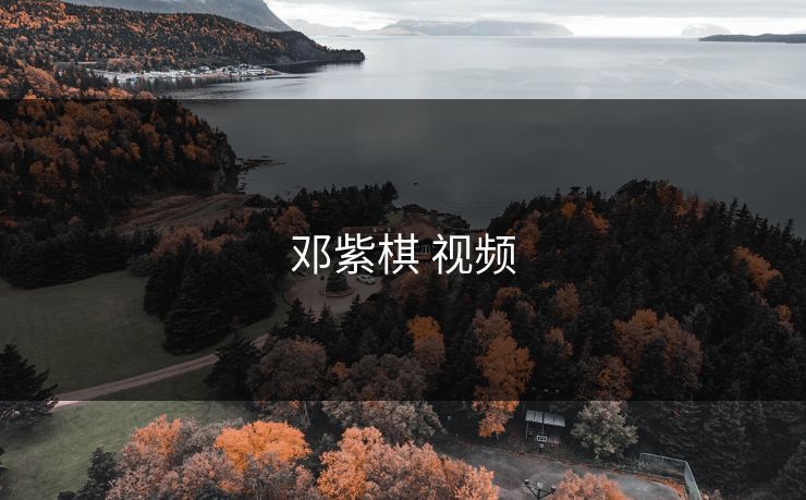 邓紫棋 视频