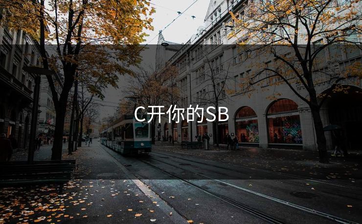 C开你的SB