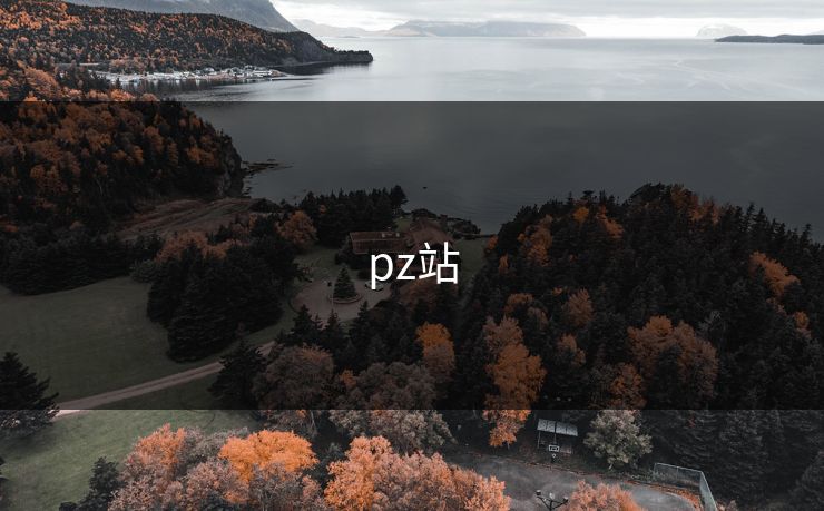pz站
