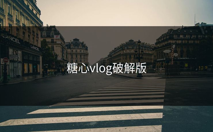 糖心vlog破解版