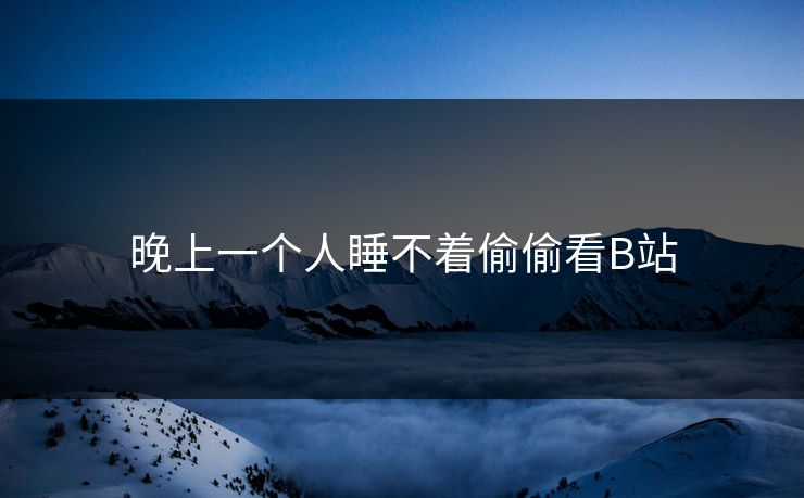 晚上一个人睡不着偷偷看B站