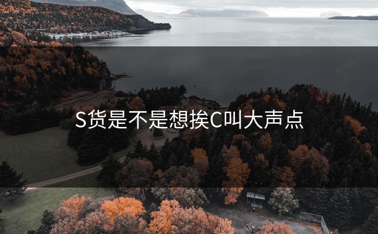 S货是不是想挨C叫大声点