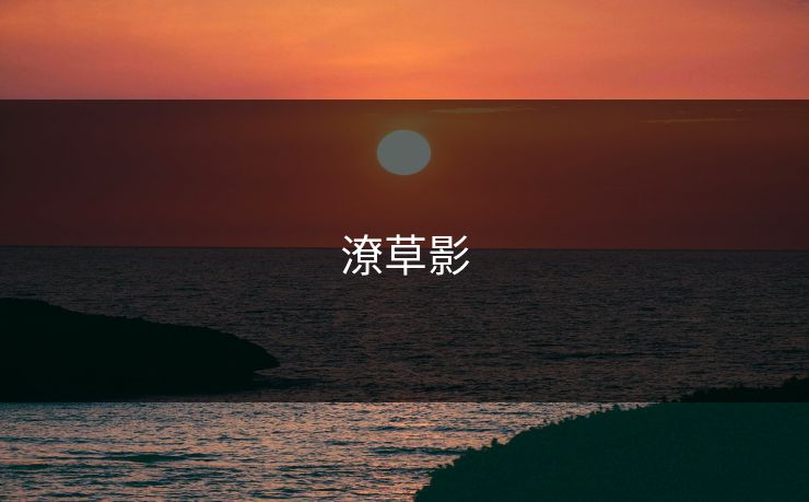 潦草影 潦草影