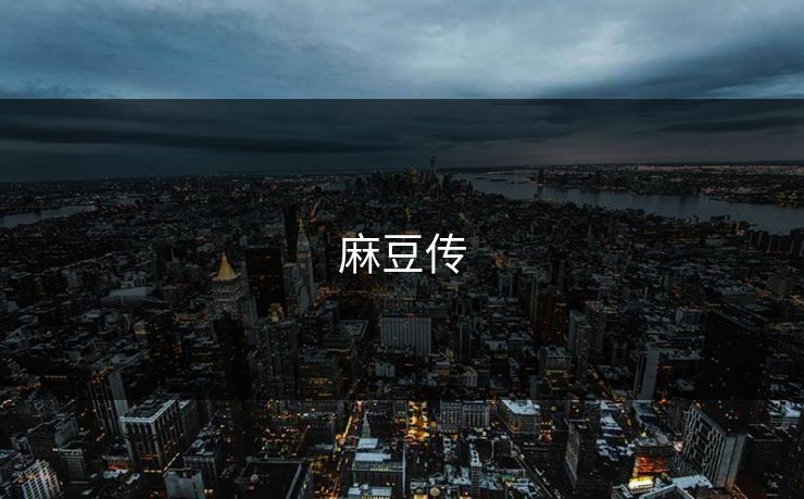麻豆传