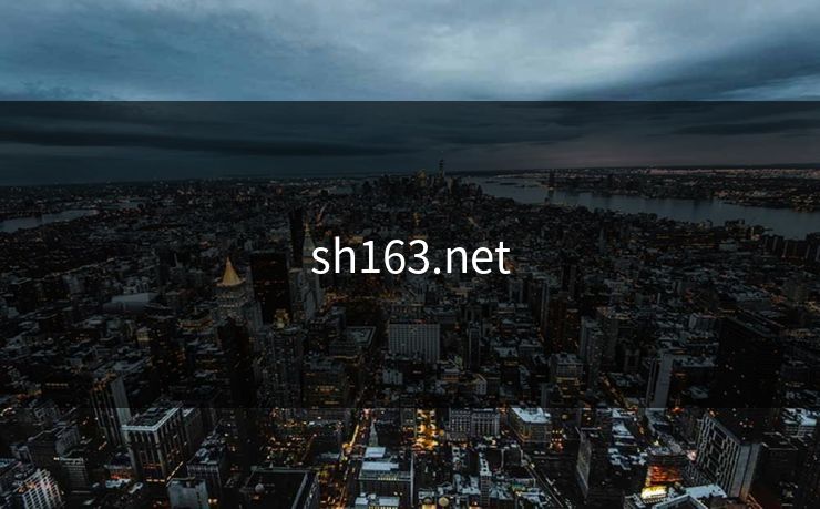 sh163.net