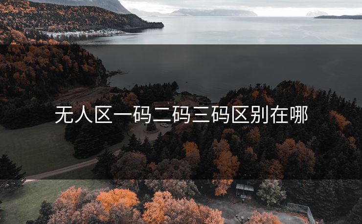 无人区一码二码三码区别在哪