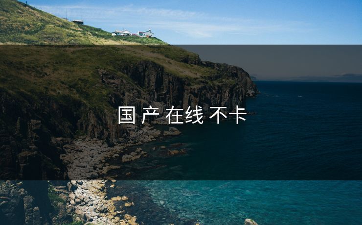 国 产 在线 不卡